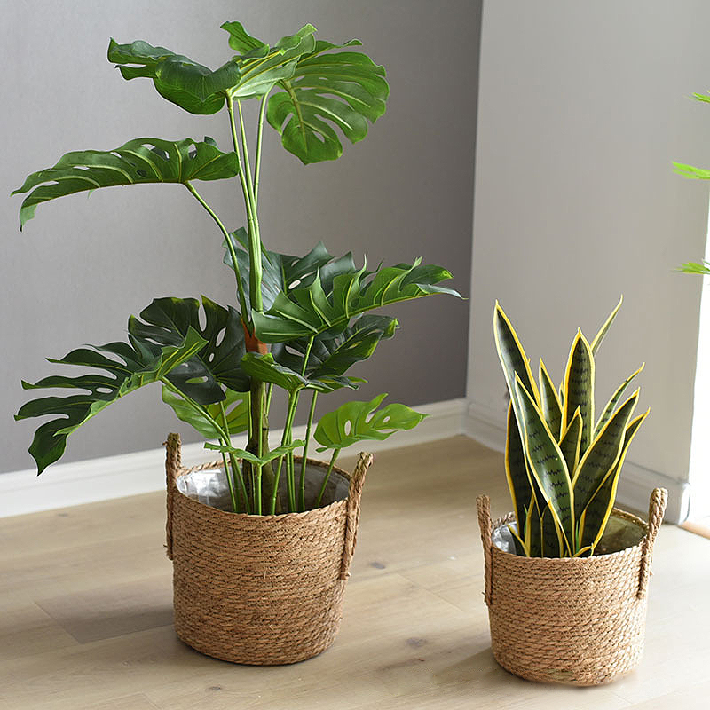 1PC 手織り天然籐ハンドルプランターは、植物、ランドリーバ - Rattan Tray Handle のレビューと価格